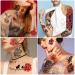 Yazhiji Large Flowers Skull Waterproof Temporary Tattoos - Realistic Tiger Wolf Bird Designs for Women, Girls, Kids & Adults - Buy Online on SooperMarket.com