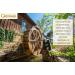 Homestead Gristmill Stone Ground White Cornmeal - 10 lbs - Non-GMO, Chemical-Free, Made in USA - Buy Online on SooperMarket.com