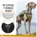 OneTigris CAMELUS Dog Backpack for M/L Size Dogs - Tear-Resistant Hiking & Camping Gear in Ranger Green - Buy Online on SooperMarket.com