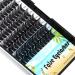 Shop Mixed Cluster Eyelashes - DIY D Curl Individual Lashes 10-12-14-16mm | 0.07mm Thickness | International Shipping - Buy Online on SooperMarket.com