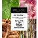 Palladio Dual Wet & Dry Foundation Refill Pan - Ivory Myrrh | Squalane Infused, Minimize Fine Lines, All Day Wear - Buy Online on SooperMarket.com