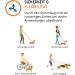 FLOXIK RULD DISCHESS Dog Small | Strong Elastic Linen Leash for Walking Jogging & Cycling - Perfect for Every Dog - Buy Online on SooperMarket.com