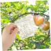 Mipcase 2pcs Square Apple Molds Fruit Vegetable Molds for Gardening Melon Stereotypes Plastic - Buy Online on SooperMarket.com