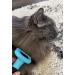 HCE Dog Hair Brush for Grooming | Best Brush for Matted Hair, Shedding & Defurring | Ideal for Large Dogs, Huskies | Blue - Buy Online on SooperMarket.com