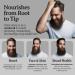 Bella Terra Oils Beard Oil 4oz | Organic Vitamin E Jojoba & Argan | Anti-Frizz Formula for Luster & Care - Buy Online on SooperMarket.com