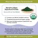 Wholistic Pet Organics Organic Spirulina Powder for Dogs - 4 Oz Superfood Multivitamin Supplement - Buy Online on SooperMarket.com