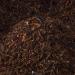 Bremen Spice Trade Rooibos Tea Vanilla - 10x100g Loose Tea | Seductively Sweet Aromatic & Natural | 1kg - Buy Online on SooperMarket.com