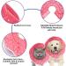 SunGrow Cat Cone Collar 9-10.5 Neck Size Pink - Soft E-Collar for Recovery & Stress Relief - Adjustable Strap Enclosures - Buy Online on SooperMarket.com