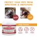 Nootie Medicated Dog Wipes - Antifungal, Antimicrobial, Antibacterial - 2% Chlorhexidine & Micronazole - 60 Pads - Buy Online on SooperMarket.com