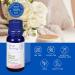 Lotus Aroma Premium Grade Peppermint Essential Oil 100% Pure & Undiluted Relaxing Scent Peppermint Essential Oils For Humidifier Aromatherapy Oil Fragrance Oils - Huile Essentielle 0.5oz (15ml) - Buy Online on SooperMarket.com