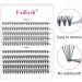 200Pcs 10D/20D 0.07 C Curl Cluster Lashes Mixed Trays DIY Eyelash Extensions 8-16mm at Home - Buy Online on SooperMarket.com