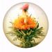 6 Tea Blower Gift Box - Blooming Green Tea Variations | Unique Gift for Birthdays Mother's Day & Christmas - Perfect for Tea Lovers - Buy Online on SooperMarket.com