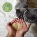Biokats Natural Care Fine Clumping Cat Litter - Eco-Friendly & Compostable Plant Fibers - 8L Bag | International Shipping - Buy Online on SooperMarket.com