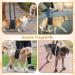 Premium Dog Harness for Hedge Aid | Comfortable & Durable Dog Gear for International Shipping - Buy Online on SooperMarket.com