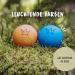 Rudelk nig Dog Ball - Indestructible Natural Rubber - 2-Pack Orange & Blue - 6.5cm - Perfect for Dogs - International Shipping - Buy Online on SooperMarket.com