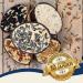 Buy Lyra PET 2x10 Coconut Filled Bird Feed | Fat-Rich Wild Bird Food with Toppings | Year-Round Nutrition | Vitamins & Protein for Wild Birds - Buy Online on SooperMarket.com
