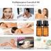 Chamomile + Vetiver Essential Oils Set 100% Pure Aromatherapy Diffuser Blends Oils for Skin Care Hair Bath Massage - Buy Online on SooperMarket.com