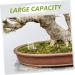 Balacoo 4pcs Pet Water Feeder Ants Farm Accessory Ants Drinking Bowls Ant Feeding Bowl Insect Feeder Plastic - Buy Online on SooperMarket.com