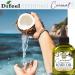 Difeel Essentials Hydrating Coconut Hair Oil 2.5 oz - Anti-Frizz Nourishing Moisture & Shine Boost for Healthy Hair | International Shipping Available - Buy Online on SooperMarket.com
