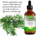 Rosemary Oil for Hair Growth Natural Rosemary Oil Nourishes the Scalp for Hair Regrowth & Hair Thickening - Hair Loss Prevention(120ml) - Buy Online on SooperMarket.com