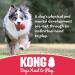 KONG Flyer Large - Durable Rubber Flying Disc Dog Toy | Buy Online - Buy Online on SooperMarket.com
