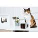 Petcube 2017: Smart Pet Camera with Interactive Laser Toy | HD Video, Two-Way Audio, Night Vision | App-Enabled Monitoring for Dog/Cat Safety - Buy Online on SooperMarket.com