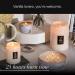 Voluspa Santal Vanille Mini Tin Candle - 4oz Vegan Coconut Wax 25 Hour Burn Time All Natural Wicks USA Made - Buy Online on SooperMarket.com