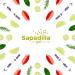 Sapadilla Liquid Hand Soap Variety Pack - 100% Pure Essential Oil Blends - Plant Based and Biodegradable - 12oz (Pack of 3) - Buy Online on SooperMarket.com