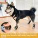 SCIROKKO Anti-Slip Dog Socks (3 Pairs) - Adjustable Pet Paw Protection with Golden Paw Pattern - Indoor Traction Control - Size L (Paw width 3.13 in) Black - Buy Online on SooperMarket.com