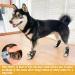 SCIROKKO 3 Pairs Double Anti-Slip Dog Socks - Adjustable Non-Skid Paw Protector for Small Dogs - Indoor and Outdoor Paw Grips for Traction Control and Lick Prevention - Black - Buy Online on SooperMarket.com