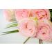 Rose Spa Bath Salts | Aromatherapy Bath Salt with Rose Oil - 440g | Relax & Rejuvenate - Buy Online on SooperMarket.com