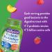 Vitafusion Probiotic Adult Gummies 2 Probiotic Strains & B12 Adult Vitamin Gummies 1000 Mcg Vitamin B12 Daily Dose Helps Metabolize Nutrients 140 Count 2 Month Supply Packaging May Vary Gummies + 1000 Mcg Vitamin B12 - Buy Online on SooperMarket.com