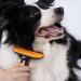POLYTE Pet Grooming Comb and Deshedding Tool with Retractable Blade - Buy Online on SooperMarket.com
