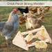 GINTUTO Pine Wooden Chick Jungle Gym Roosting Bar - Small Chicken Perch Toys for Coop and Brooder - Ideal for Large Bird Baby Chicks and Parrots - Buy Online on SooperMarket.com