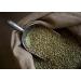 Moreish Coffee Roasters Strong Shit! Coffee Bags - Dark Roasted Blend (50 Count) - Buy Online on SooperMarket.com