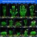 Artificial Aquarium Plants 20 Pack - Green Fish Tank Decorations by MyLifeUNIT - Buy Online on SooperMarket.com
