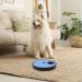 Beowanzk Multifunctional Dog Nail Scratchboard with 6-Compartment Food Storage - Blue - Buy Online on SooperMarket.com