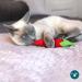 OurPets 100% North American Catnip Filled Cat Toys - Interactive Cat Toy for Indoor Cats & Kittens - Chew Toy & Catnip Toys for Cats - Great for Catnip Lovers - Hot Stuff! - Buy Online on SooperMarket.com
