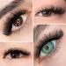 LASHVIEW 1000 Premade Volume Eyelash Extensions - 10D D Curl Mixed Tray Handmade Thin Base 9-16mm 1000 Fans | Shop Internationally - Buy Online on SooperMarket.com