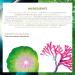 Yves Rocher Elixir Botanique Recovery Night Serum - Revitalize & Strengthen Skin | 1.01 Fl Oz - International Shipping Available - Buy Online on SooperMarket.com
