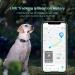 DOGNESS Waterproof GPS Tracker for Dogs and Cats - Live Tracking & Emergency Alerts - Size M - Buy Online on SooperMarket.com