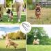 Durable Metal Choke Chain Dog Collar for Outdoor Training - Small, Medium, Large Sizes - Adjustable Silver Necklace - L 65cm, 4.0mm Diameter - Buy Online on SooperMarket.com