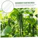 SUPVOX Horticulture 3pcs Vegetable Shaping Pots for Plants Garden Vegetable Growth Forming Fruit Pizza - Buy Online on SooperMarket.com