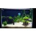 M2cbridge Aquarium Decorations Fish Hideout House Betta Cave with Green Lifelike Moss (Style 3) - Buy Online on SooperMarket.com