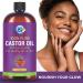 20oz 100% Pure Castor Oil - Cold-Pressed & Unrefined - Hexane-Free BPA-Free - Premium USP Grade for Healthy Skin & Hair - International Shipping Available - Buy Online on SooperMarket.com
