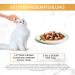 PURINA GOURMET Gold Tender Bites Wet Cat Food with Chicken & Liver - Pack of 12 (85g each) | International Shipping - Buy Online on SooperMarket.com