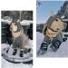 Hipaw XL Outdoor Dog Boots - Winter Dog Shoes Non-slip for Snow Rain - Black - Insole width 3.15 - Buy Online on SooperMarket.com