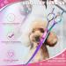 Professional Curved Dog Care Scissors - Safe Round Pointed Pet Fur Scissors for Dogs & Cats | Japanese 440C Stainless Steel | Rainbow Design - Buy Online on SooperMarket.com