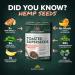 Eaton Hemp Pink Himalayan Sea Salt Toasted Super Seeds 12oz - Organic, High Fiber Plant-based Protein Snack with Natural Spices - Non-GMO, Gluten-free, Keto Friendly - Buy Online on SooperMarket.com