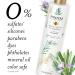 Buy Pantene Sulfate Free Shampoo - Rosemary Detangling Color Safe 9.6 oz | International Shipping - Buy Online on SooperMarket.com